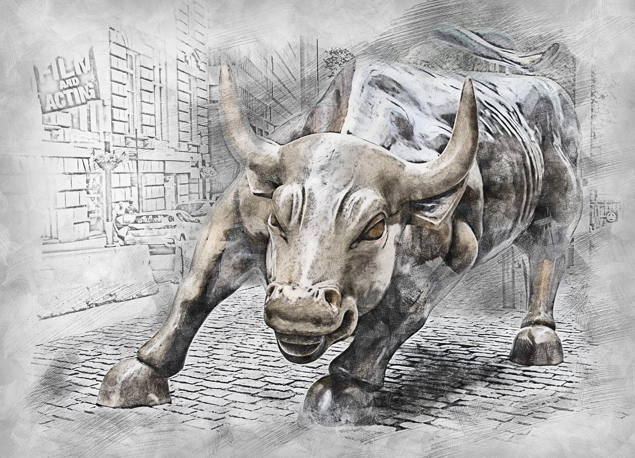 bull market 