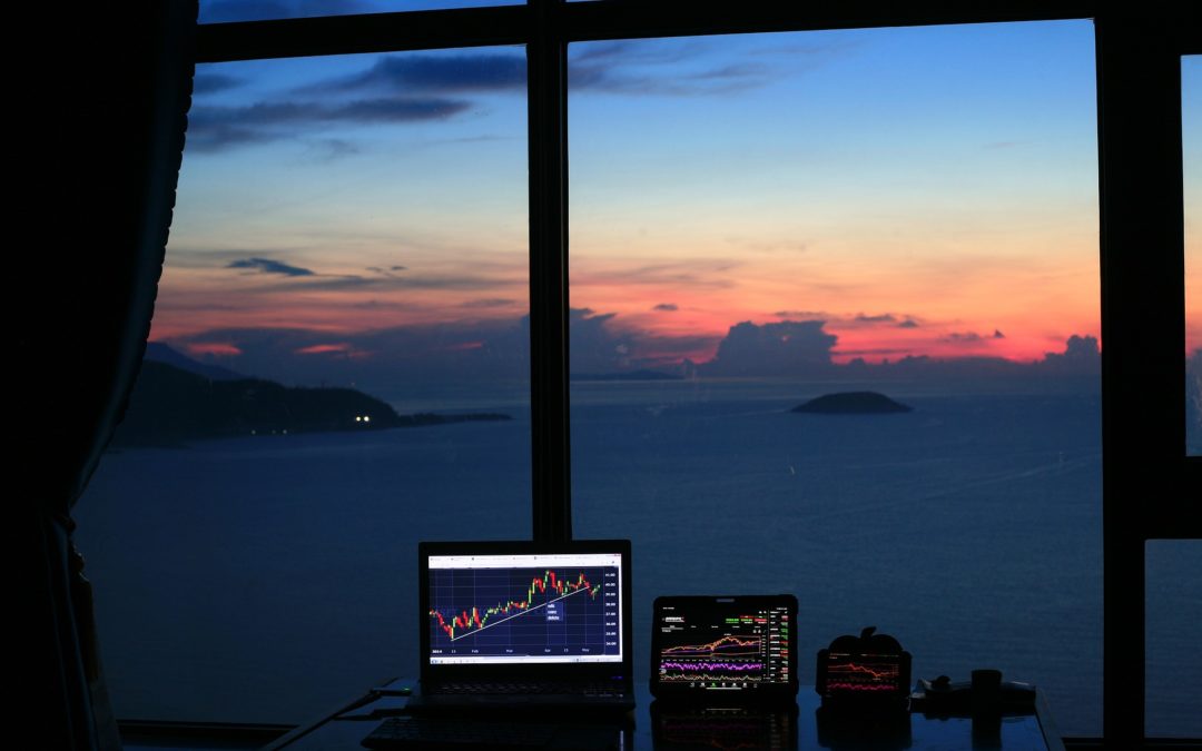 What are Non Convertible Shares?